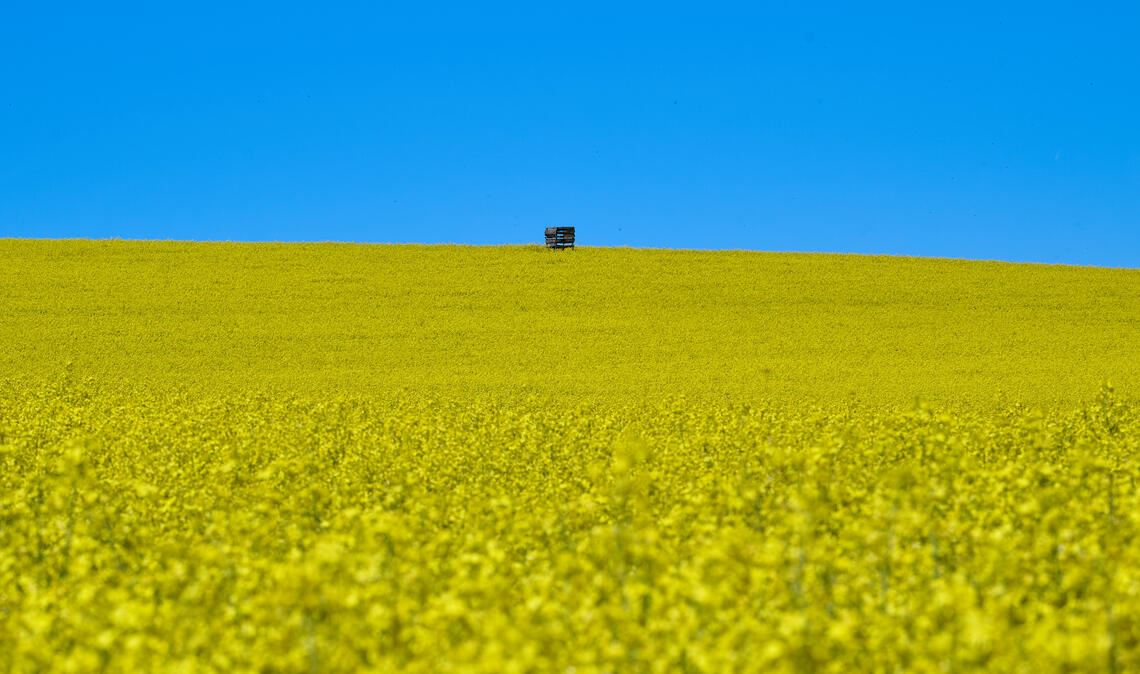 Blau und gelb – Mühlacker Farben in Lienzingen. Foto: Peter Marx