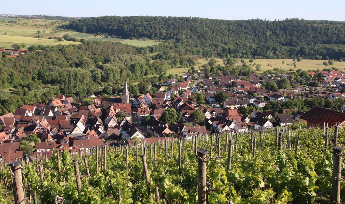 Blick auf Roßwag durch die Weinberge. Auch hier soll ein neuer Enztal-Steillagen-Wanderweg entlangführen. Fotos: Arning