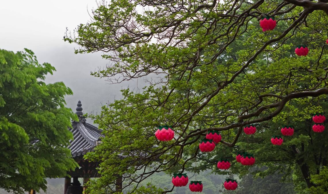 Blick auf buddhistischen Tempel im südkoreanischen Sokcho