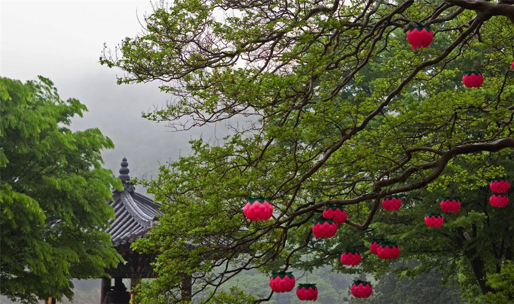 Blick auf buddhistischen Tempel im südkoreanischen Sokcho