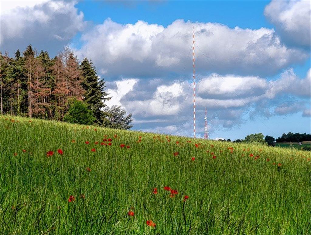 Sommerzeit