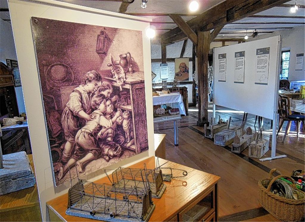 Blick in die Ausstellung.