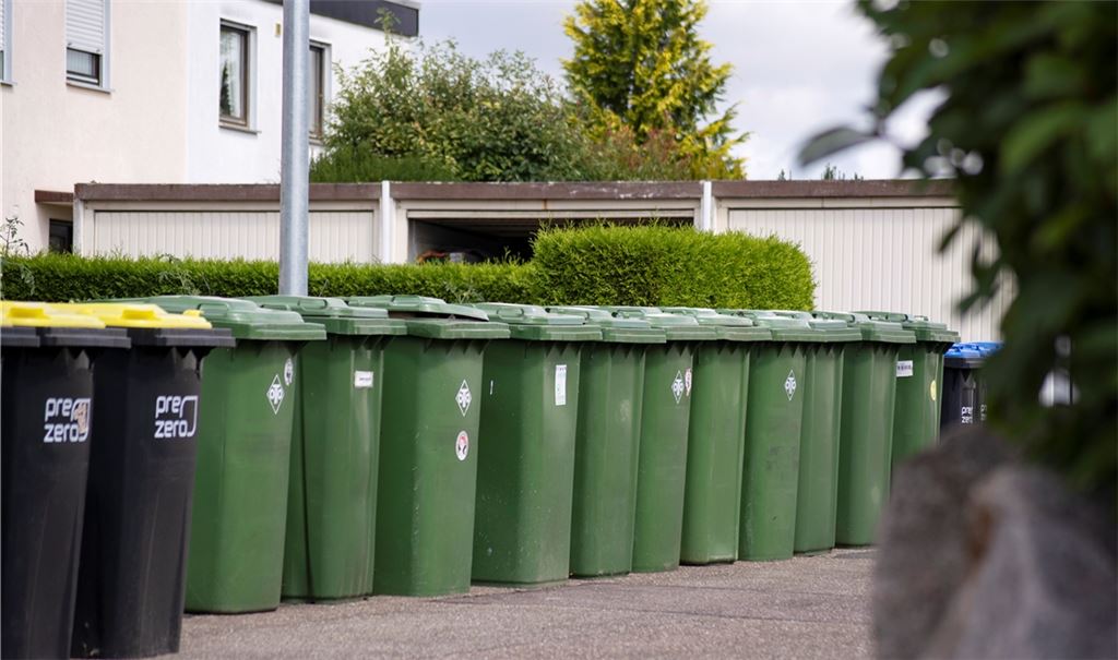 Blick in die Robert-Koch-Straße am Montagvormittag in Illingen. Am Rand der Straße stehen ungeleerte Müllbehälter. Die Anwohner haben Probleme, wenn sie neue Behälter rausstellen müssen und die alten noch dastehen – Tonnen-Tetris ist angesagt. Foto: Fotomoment