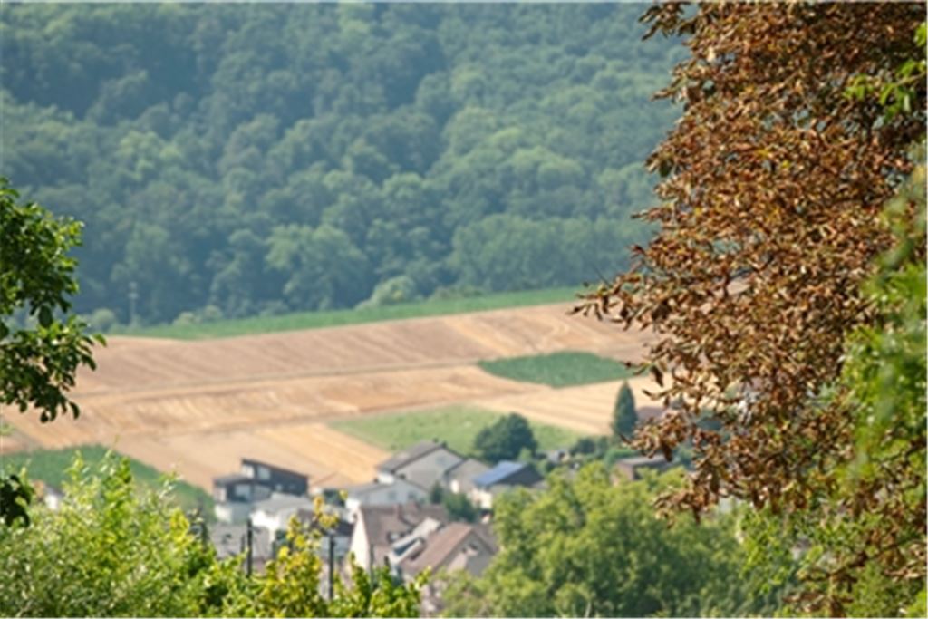 Blick ins Mühlhäuser Enztal, das wie die ganze Region eine kalte Dusche gebrauchen kann. Foto: Fotomoment