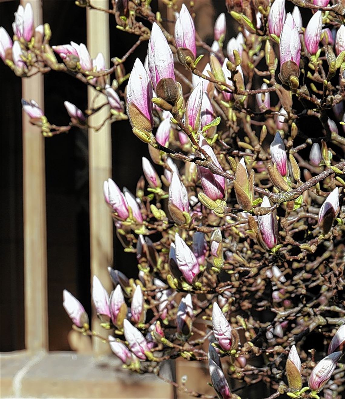 Kloster will mit Vielfalt punkten