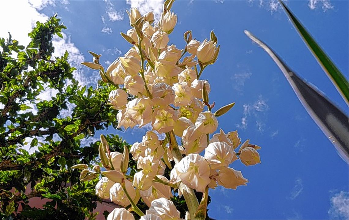 Sommerzeit Sommerzeit