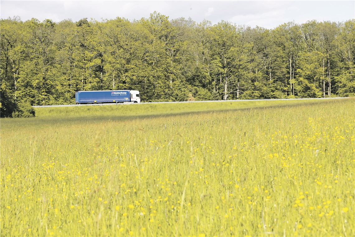 Eckenweiher behält seine Wiesen 910_0008_172656_the_Welsche_Wiesen_bearbeitet
