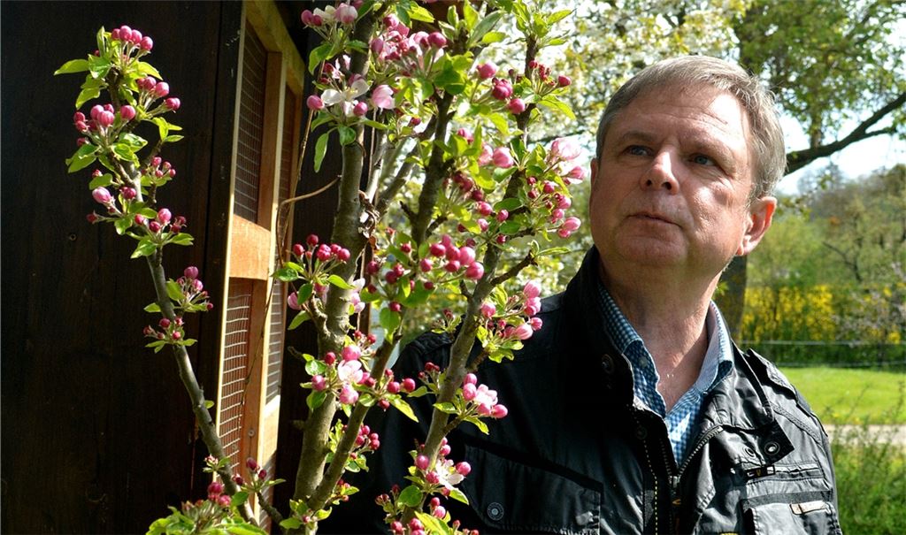 Blühende Landschaften beim Obst- und Gartenbauverein Mühlacker. Vorsitzender Jürgen Metzger – links mit einem Spindelbaum, der auch in den Hausgarten passt – wirbt gemeinsam mit dem Landschaftserhaltungsverband Enzkreis für eine fachgerechte und nachhaltige Bewirtschaftung von Obstwiesen, um sie als Lebensraum für Tiere und Pflanzen zu erhalten.  Fotos: Stahlfeld