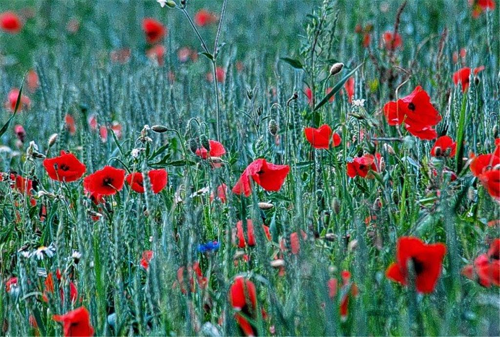 „Weniger Konsum bei allem“
