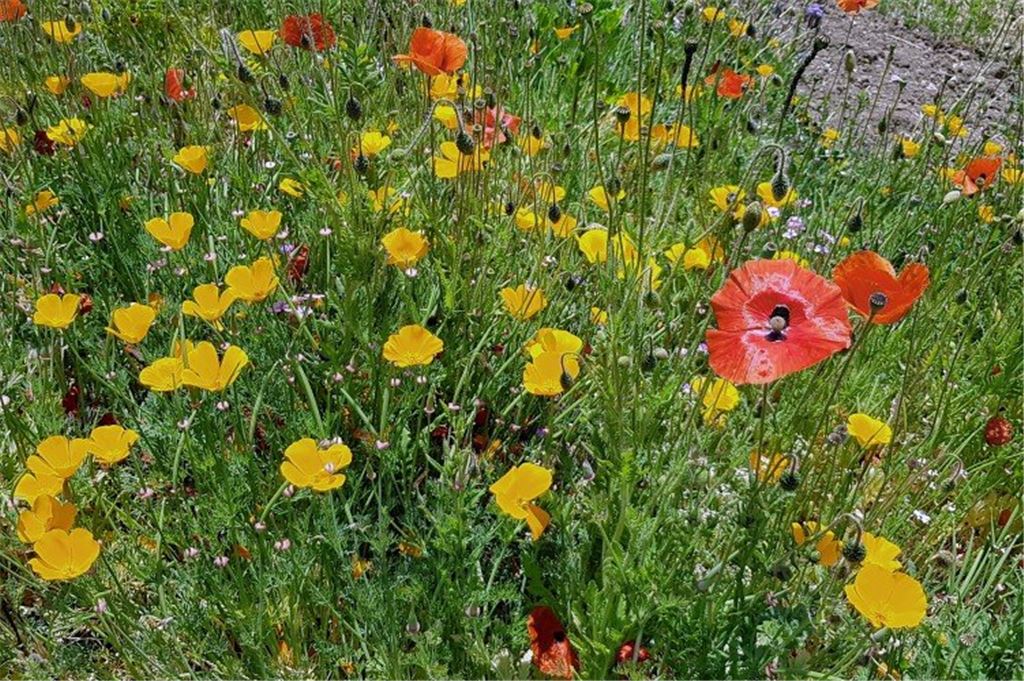 Frühlingsgefühle