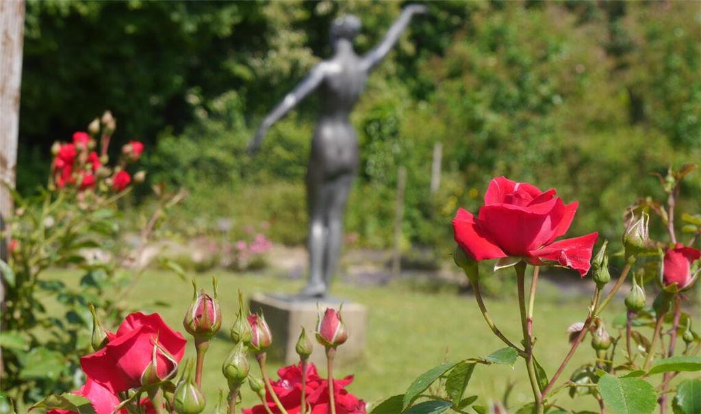Blütenpracht im Rosengarten. Foto: Lechner