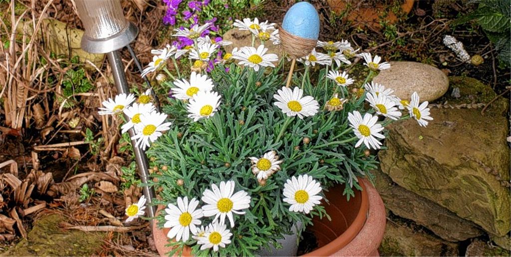 Frühlingsgefühle