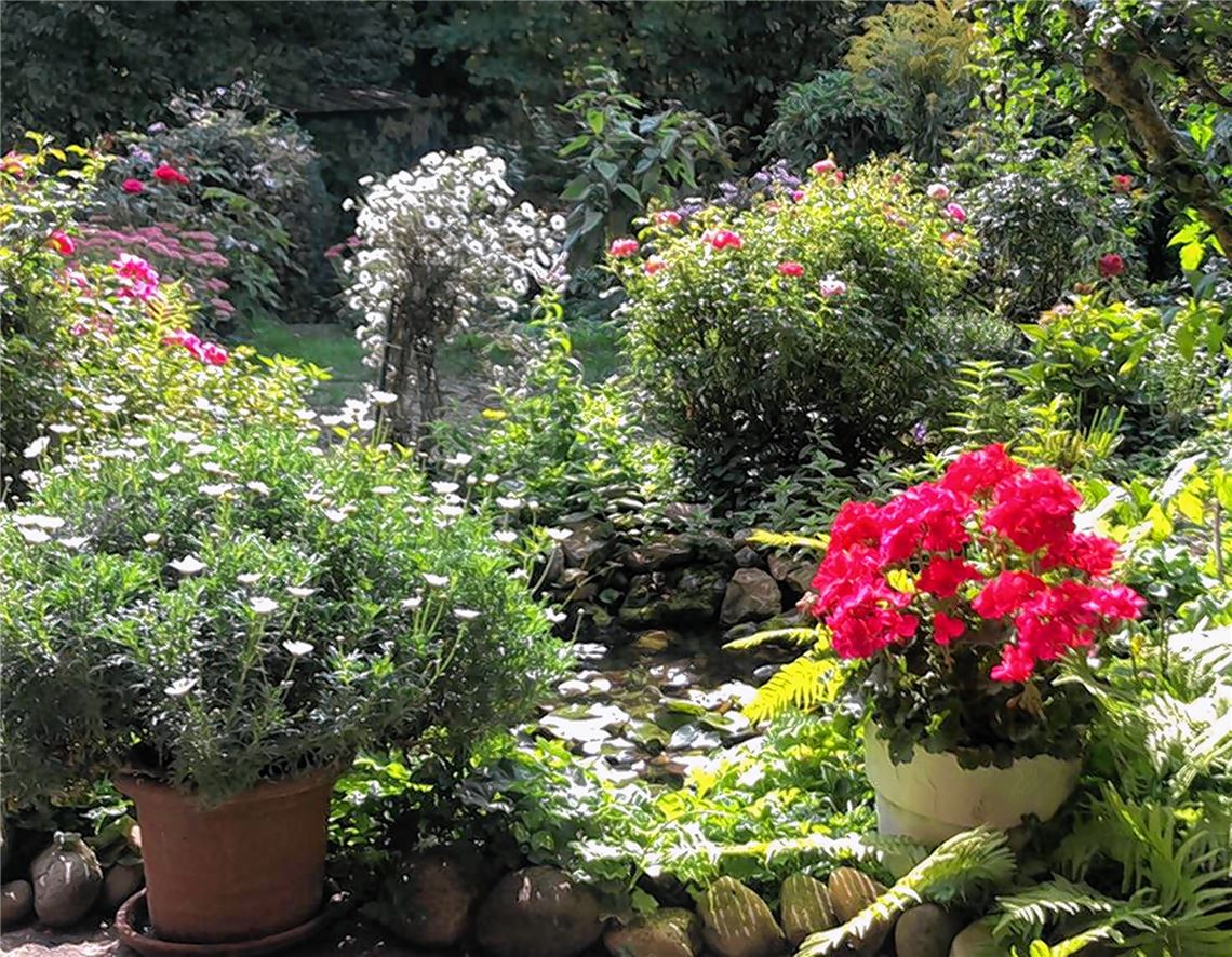 Das Geburtstagskind des Tages