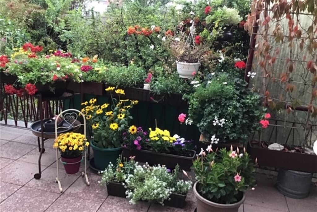 Blumengruß für alle, die heute Geburtstag haben, von Hermann Fuchs.