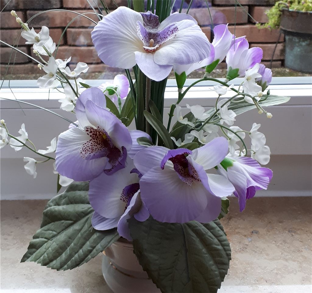 Blumengruß für alle, die heute Geburtstag haben, von Marlene Märkle.