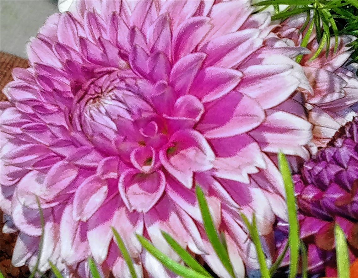 Blumengruß für alle, die heute Geburtstag haben, von Anita Leize, Ötisheim.