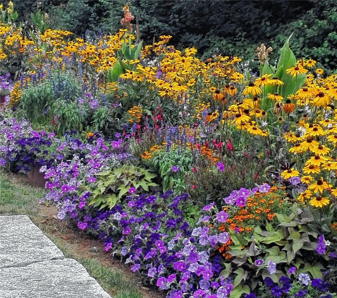 Blumengruß für alle, die heute Geburtstag haben, von Beate Eitelbuss.