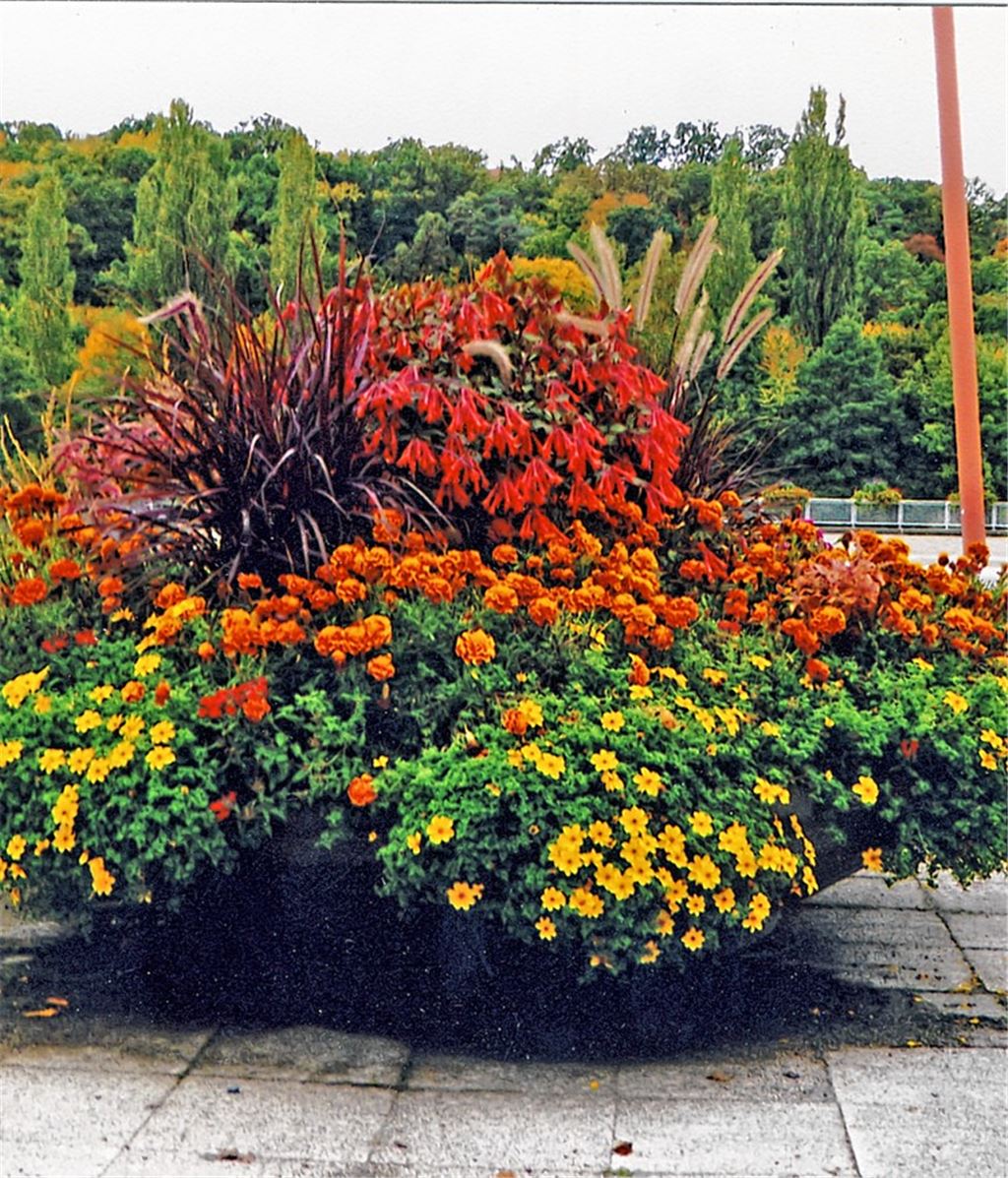Herbstfarben