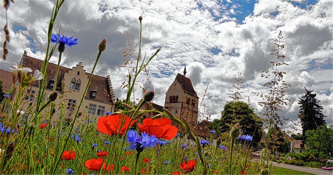 Frühlingsgefühle