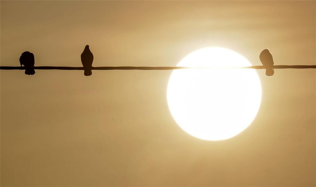 Bodennahe Winde haben den Staub in Afrika aufgewirbelt, dann wird der nach Europa transportiert.