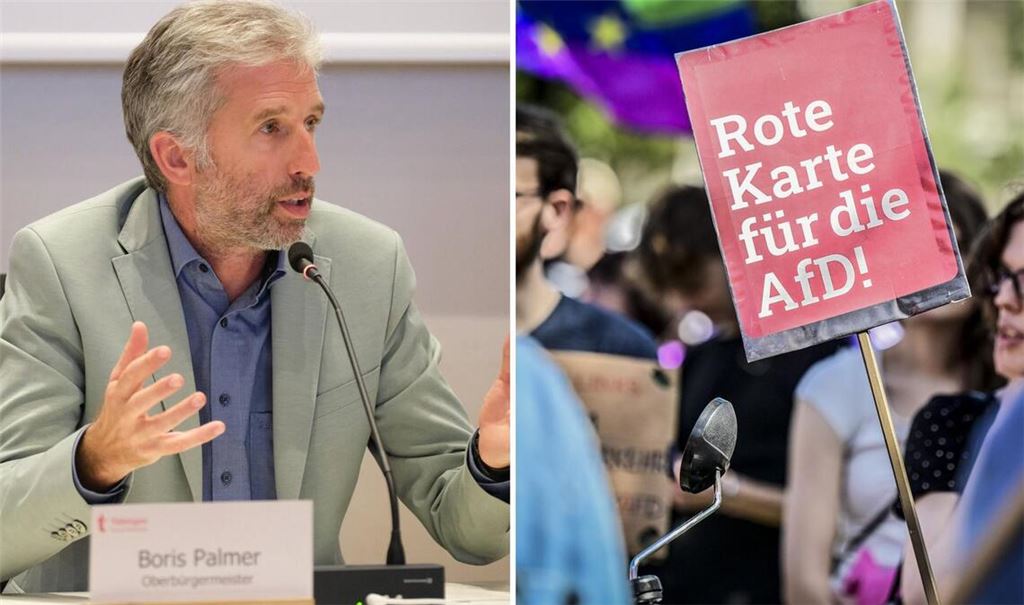 Boris Palmer hätte gerne auch zu den Demonstranten gesprochen. „Ich bin gegen die AfD.“