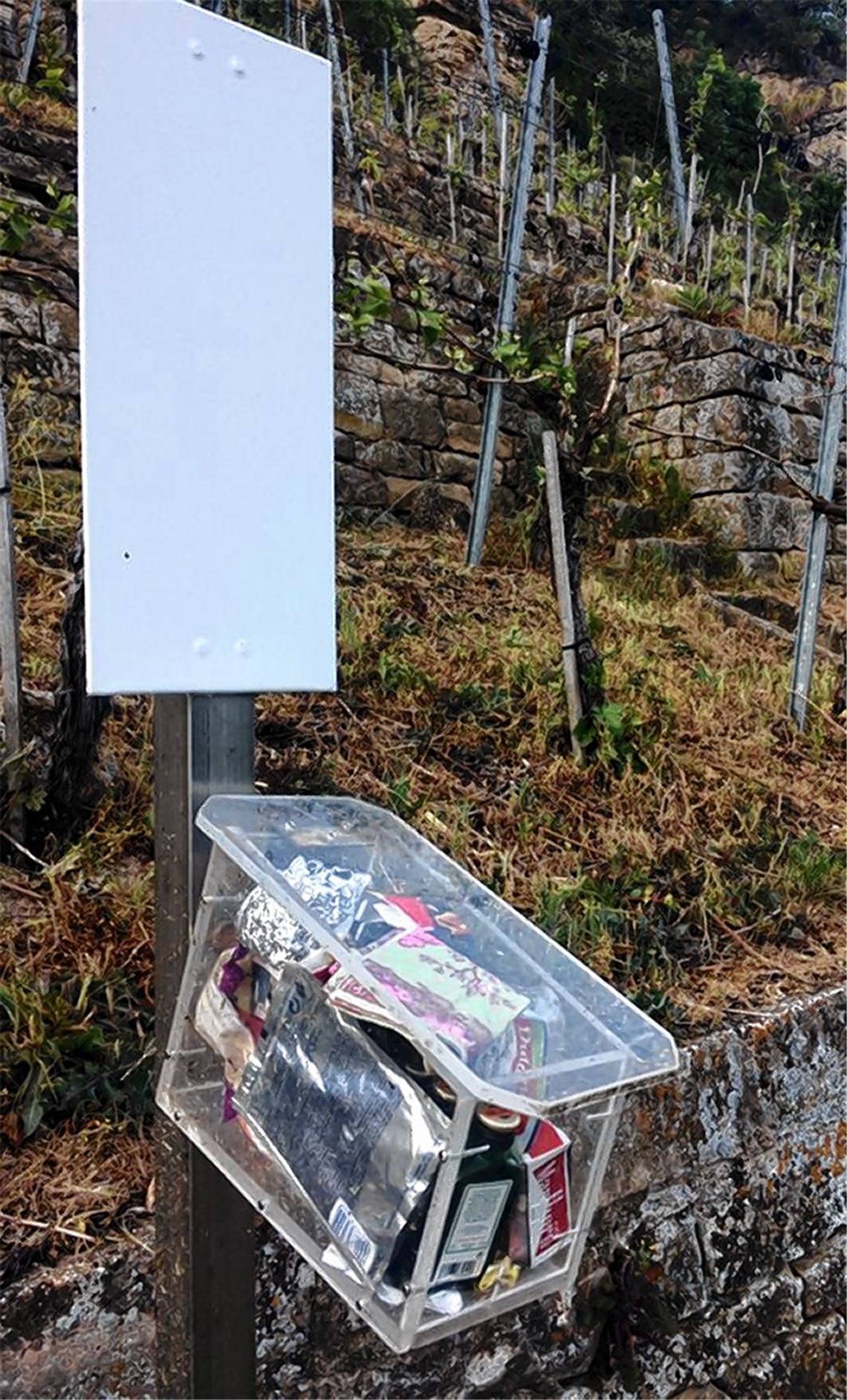 Box mit neuer Füllung.eld