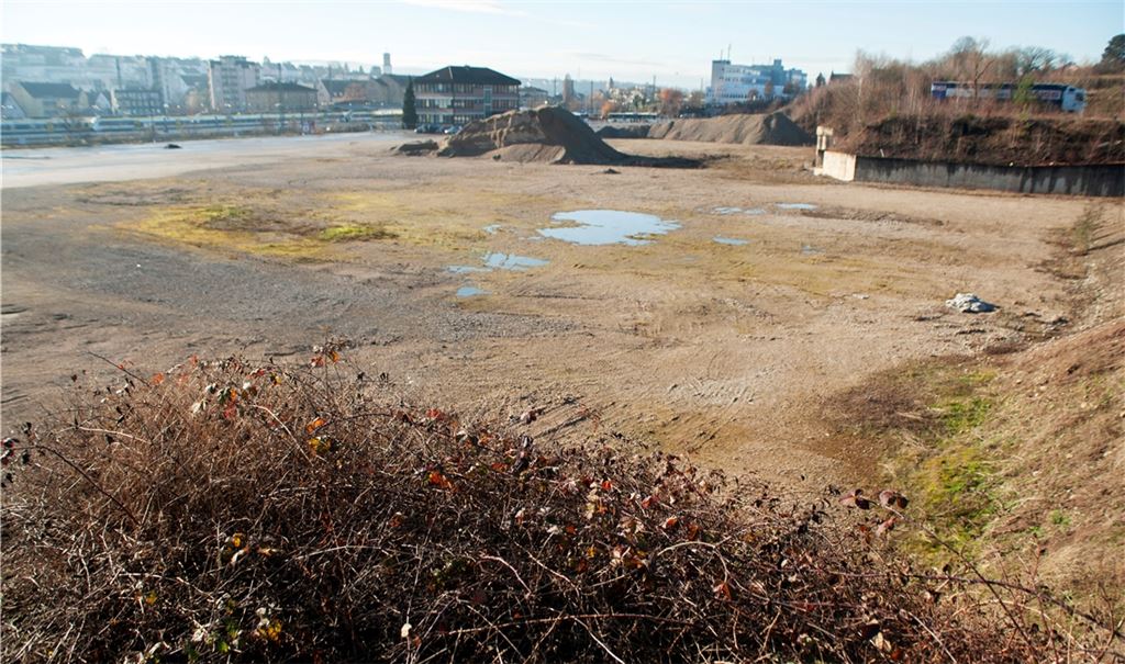 Brachfläche: Die Besiedlung des ehemaligen Ziegeleiareals gehört zu den dringlichsten Vorhaben der Stadt Mühlacker. Foto: Fotomoment