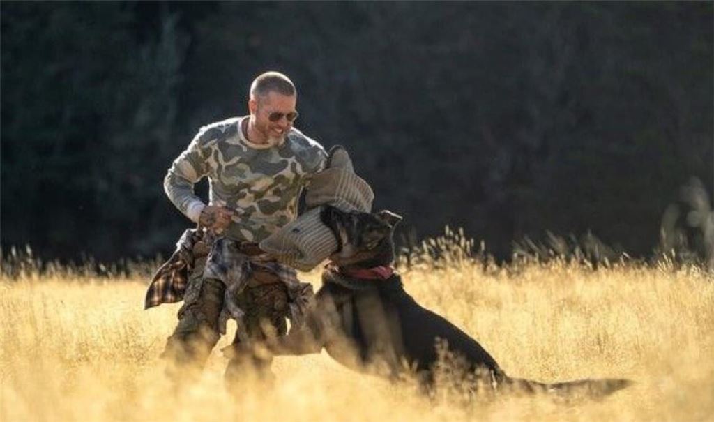 Brad Pitt als Ex-US-Soldat James Belmont mit seinem Schäferhund Odin in „Eiserne Wildnis - Heart of the Beast"