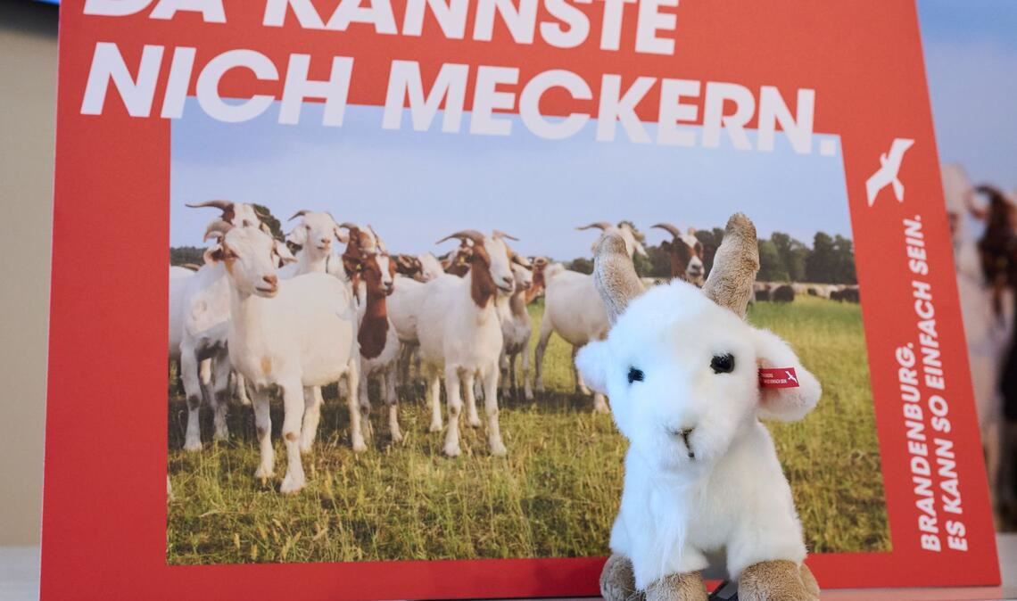 Brandenburg wirbt mit einer neuen Kampagne für Zuzüge aus Westdeutschland. (Archivbild)