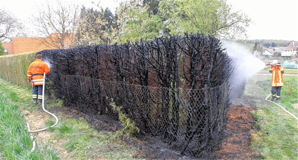 Brandheißer Einsatz in Pinache.