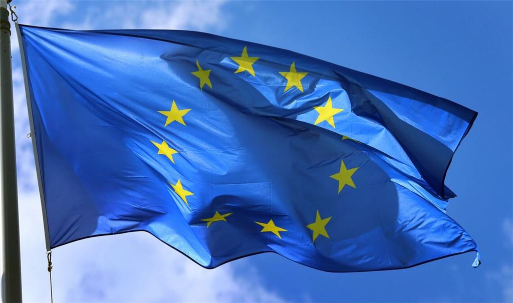 Brisant ist das Votum vor allem, weil der Text nicht nur mit Unterstützung der Rechten angenommen, sondern auch mit ihnen abgestimmt wurde (Symbolbild).