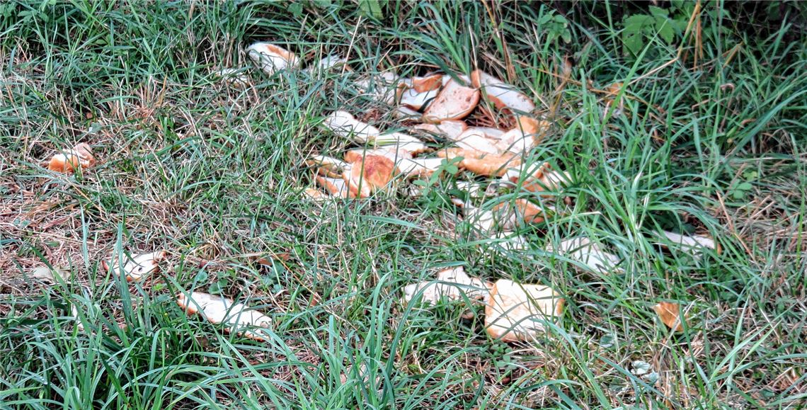 Brotreste am Wegesrand.Becker