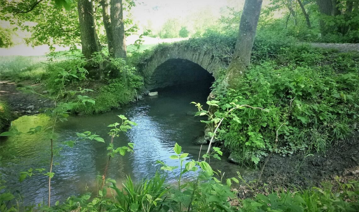 Brücke im Kreuzbachtal. Foto: Archiv
