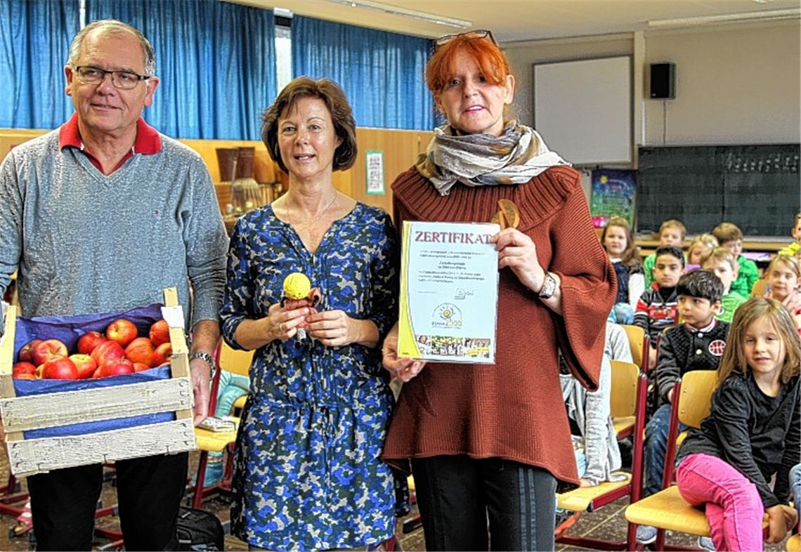 Mehr als Mathe und Co.