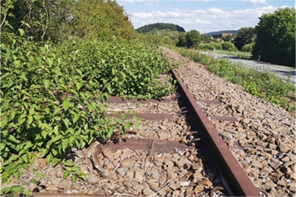 Bürgermeisterin von Sternenfels hofft, von einer Reaktivierung der Zabergäubahn profitieren zu können. Archivfoto: Goertz