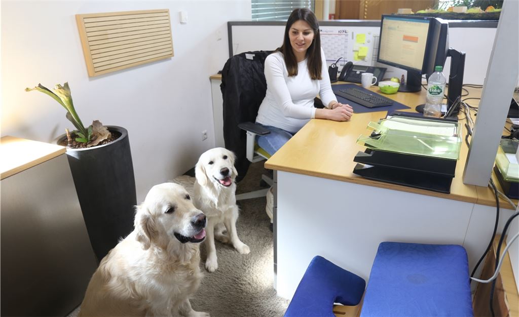 Bürohunde können, so heißt es oft, zu einer guten Atmosphäre beitragen.Fotos: Huber