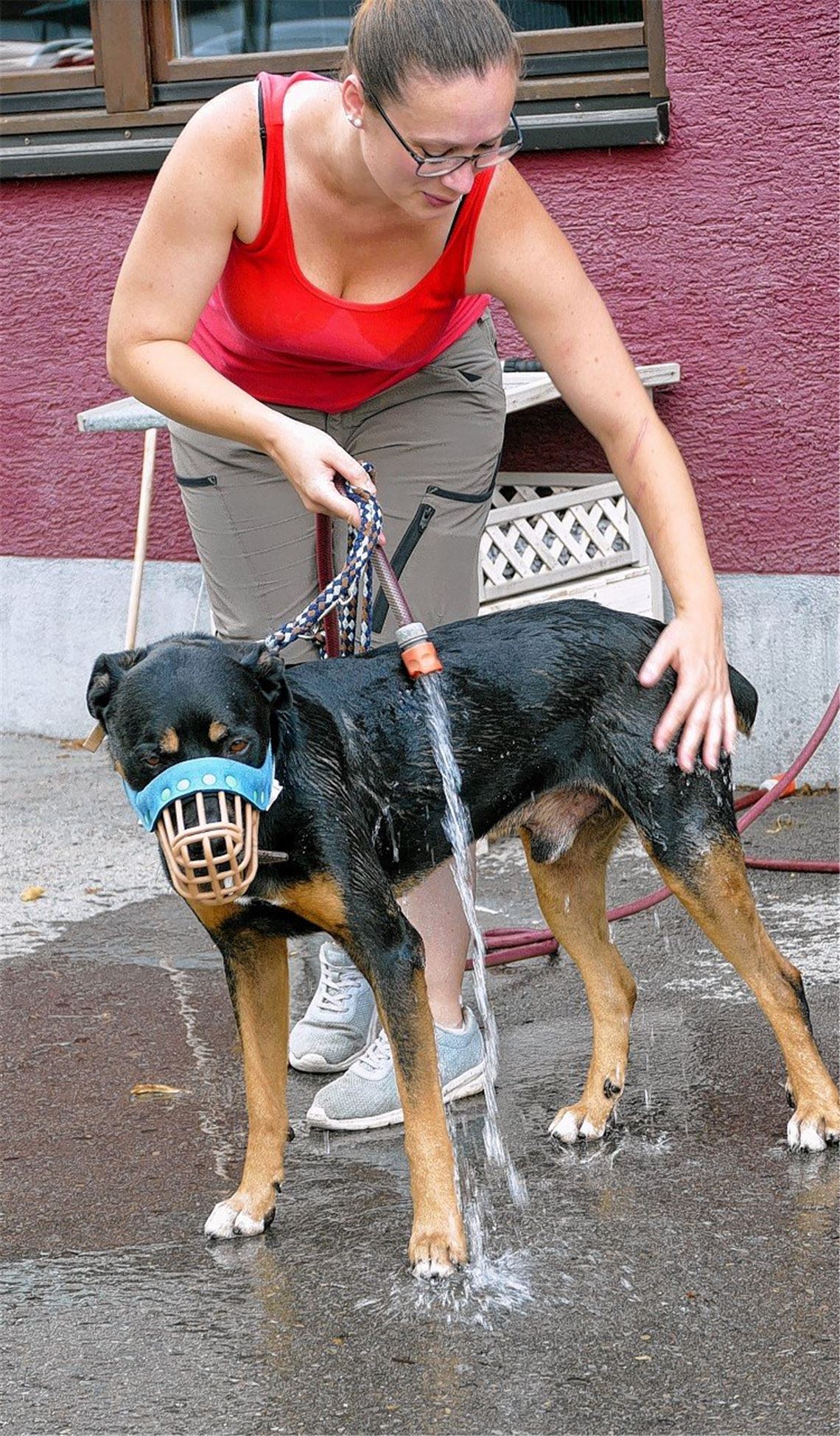 Hitze macht auch den Tieren zu schaffen