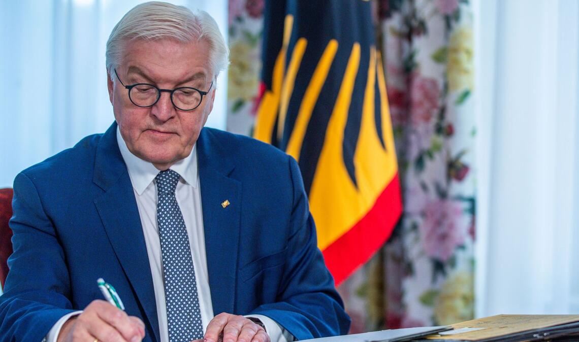 Bundespräsident Frank-Walter Steinmeier (Archivbild)