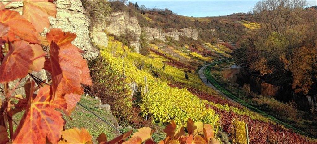 Bunte Weinberge oberhalb von Mühlhausen.