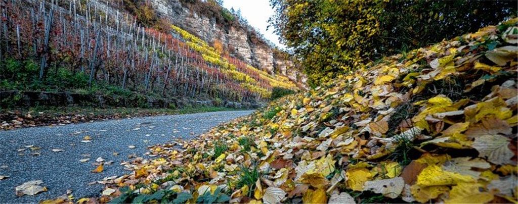 Herbstfarben