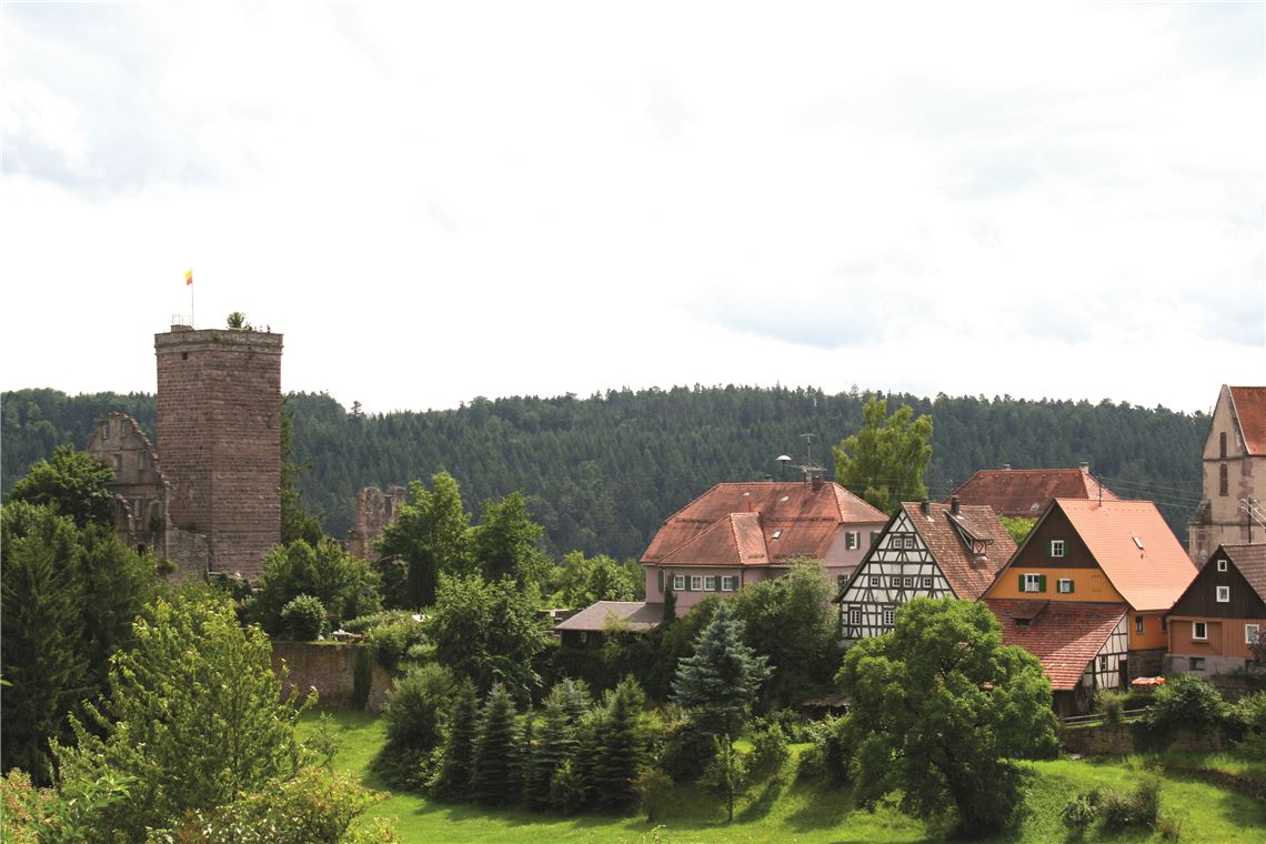 Schwarzwald-Abenteuer mit Martin Kuhnle 910_0008_112025_p_Wanderung_Zavelstein