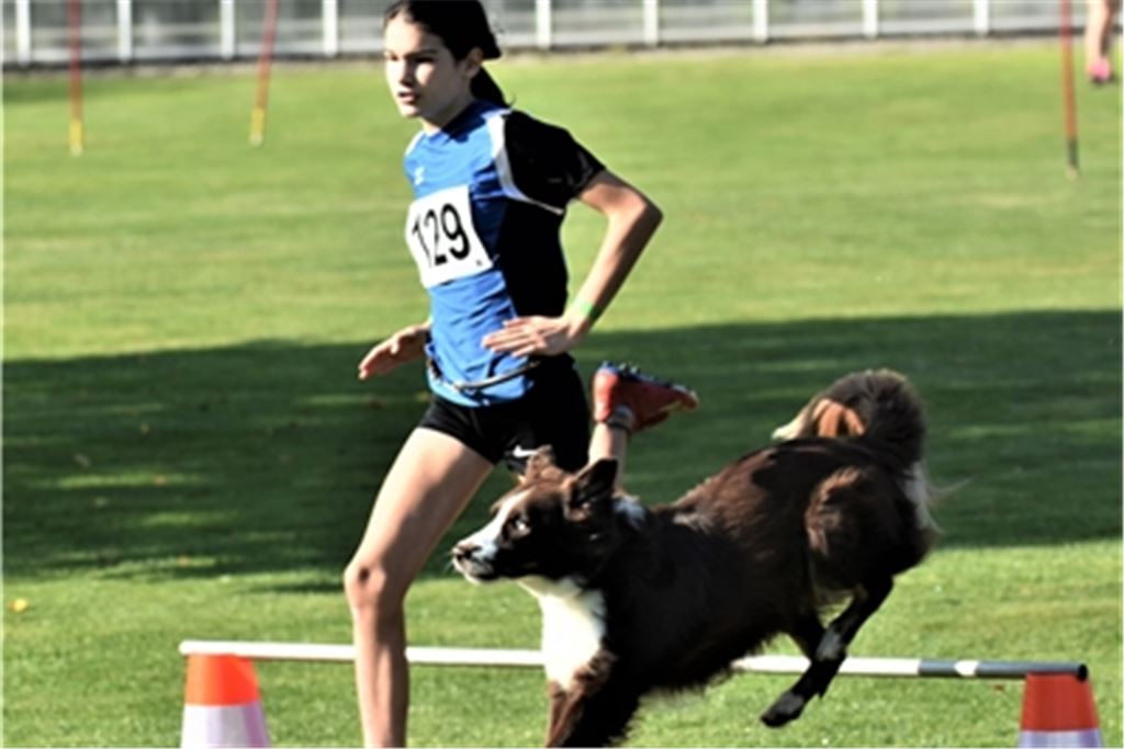 Chiara Heidinger vom HSV Mühlacker – hier im Hürdenlauf des Vierkampfs – liefert mit dem Australian Shepherd Linus eine starke Vorstellung ab. Foto: Albrecht Heidinger