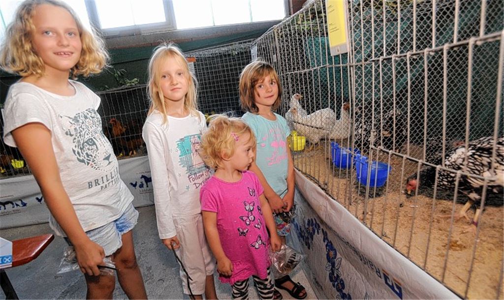 Tierischer Anziehungspunkt