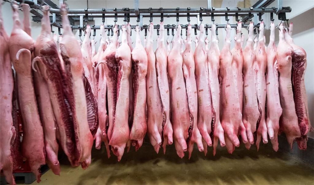 China erschwert mit Zöllen den Import von Schweinefleisch aus der EU. (Symbolbild)