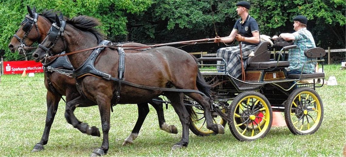 Gespann-Fahrer beweisen Geschick
