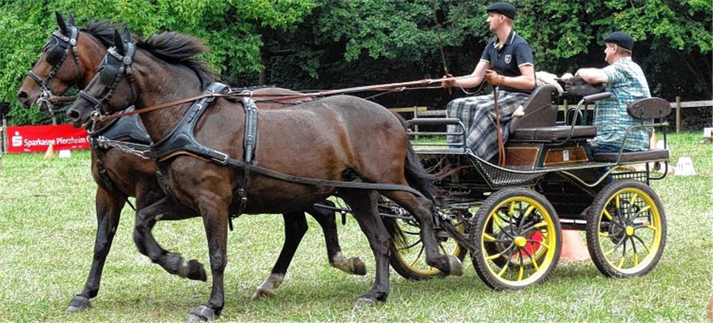 Gespann-Fahrer beweisen Geschick