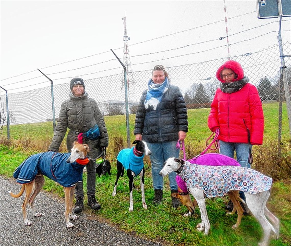 Tierfreunde wollen Hundespielplatz