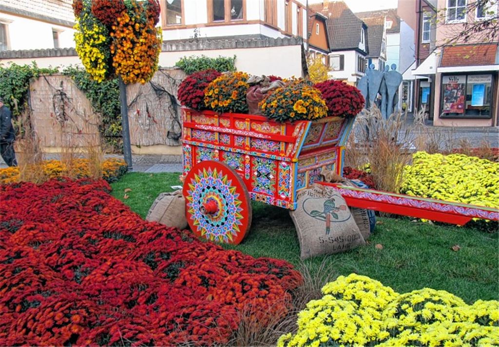 Herbstfarben