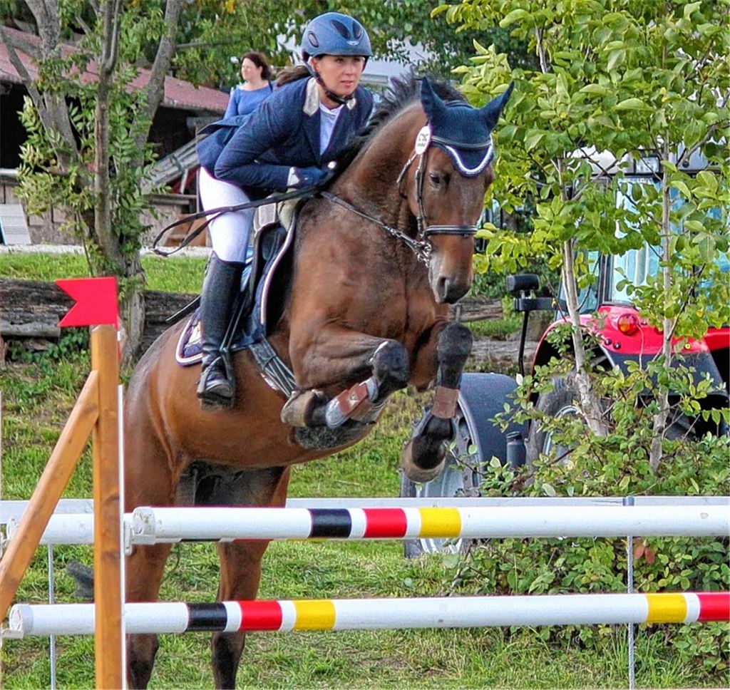 Mehr als 500 Reiter mit 1100 Pferden