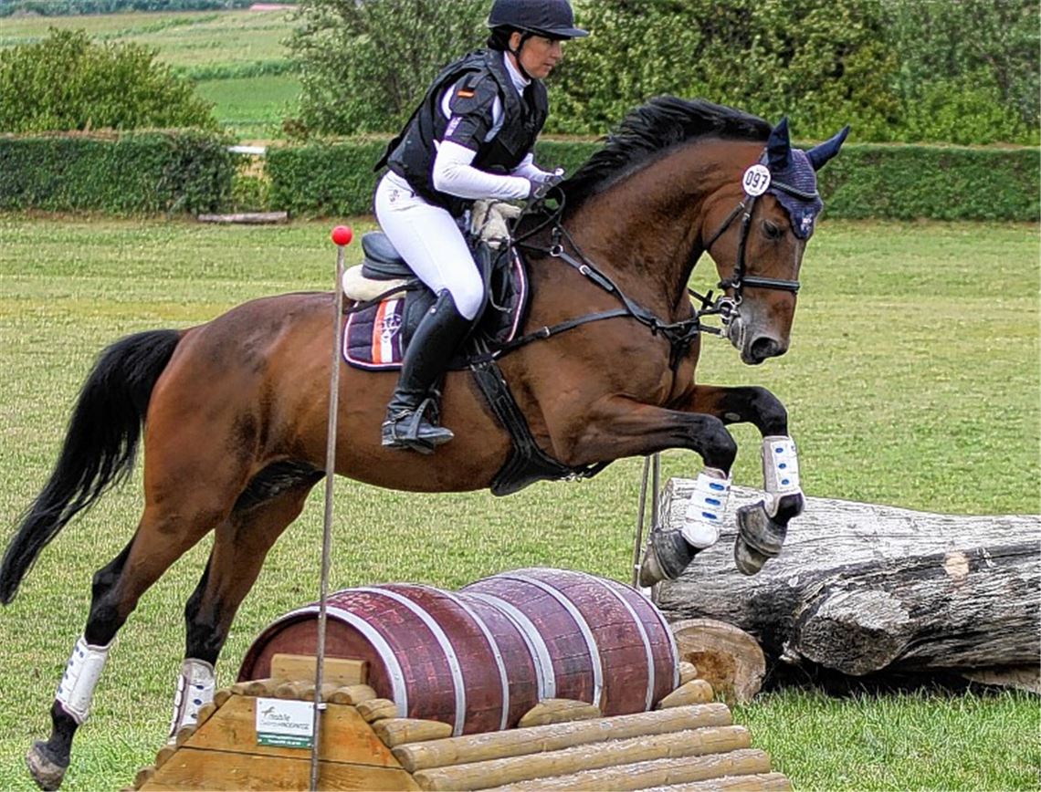 Nussdorfer Reiter verkrampfen